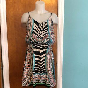 Express size medium multicolored zebra print dress